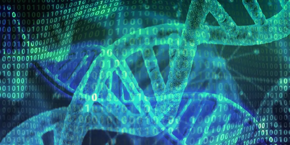 Nemoc Dna Projevy